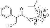 66985-17-9   異丙托溴銨一水合物  Ipratropium bromide monohydrate 