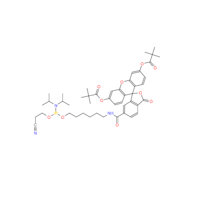  CAS：204697-37-0，5'-熒光素氨基磷酸酯