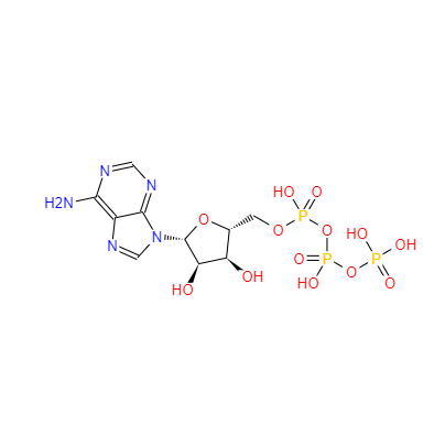 CAS：56-65-5，三磷酸腺苷 