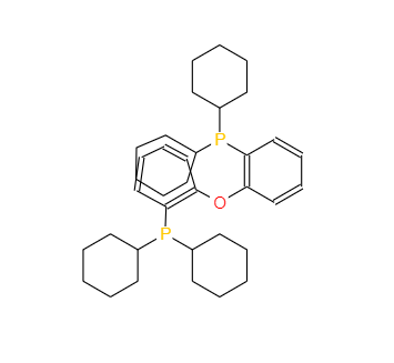 CAS：434336-16-0，雙(二環(huán)己基膦基苯基)醚 