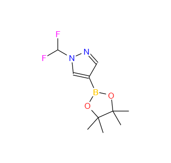 CAS：1206640-82-5，1-(二氟甲基)-4-(4,4,5,5-四甲基-1,3,2-二氧硼雜環(huán)戊烷-2-基)-1H-吡唑 