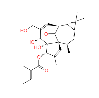 CAS：75567-37-2，巨大戟醇-3-O-當(dāng)歸酸酯(巨大戟醇甲基丁烯酸酯)