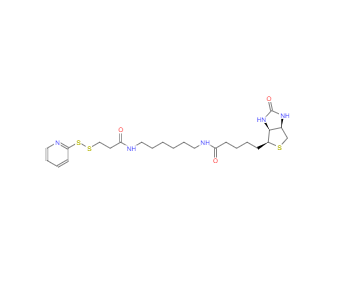 CAS：129179-83-5，N-[6-(生物素酰氨基)己基]-3`-(2`-吡啶二硫基)丙酰胺