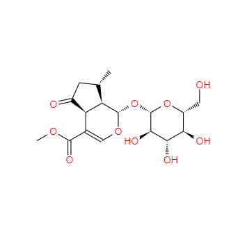 CAS：548-37-8，馬鞭草苷 