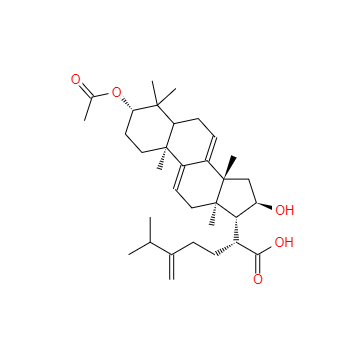 CAS：77012-31-8，去氫茯苓酸 