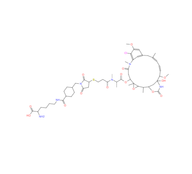 CAS：1281816-04-3，Lys-SMCC-DM1 