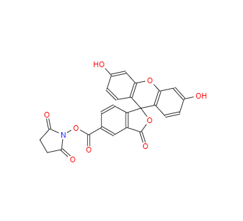 CAS：92557-80-7，5-羧基熒光素琥珀酰亞胺酯 