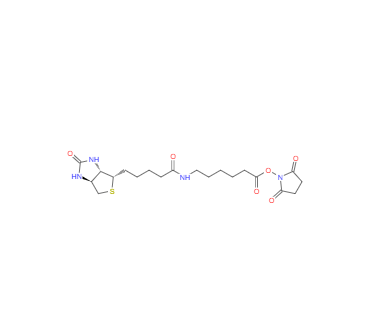 CAS：72040-63-2，N-琥珀酰亞氨基6-生物素氨己酸